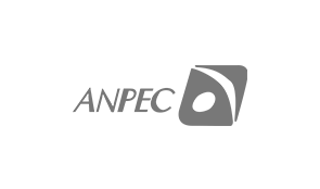 Anpec Electronics Corp.