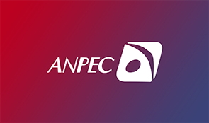 Anpec Electronics Corp.